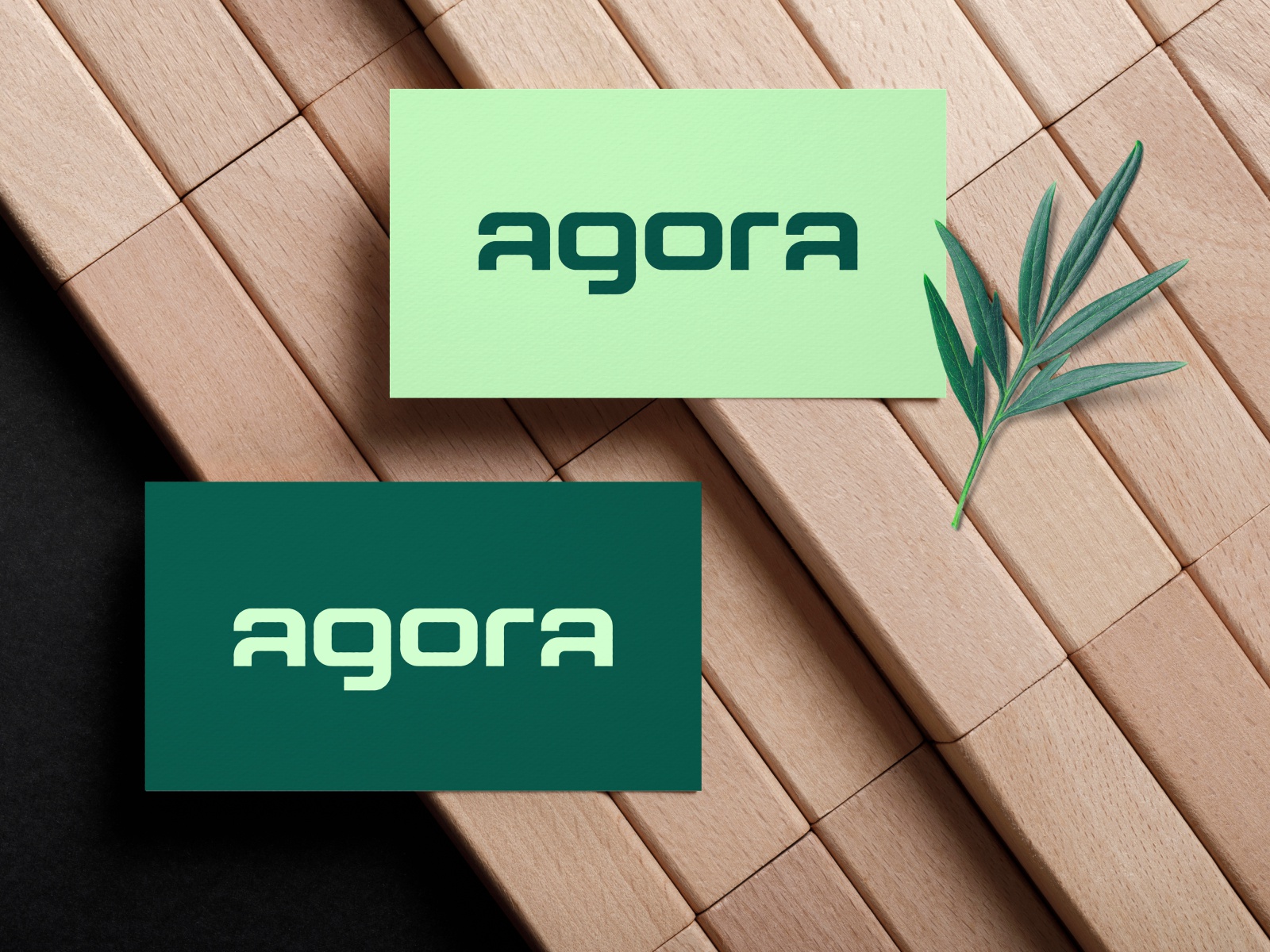 Logotype design for Agora brand. doctor logo spa herbs medical logo de.jpg