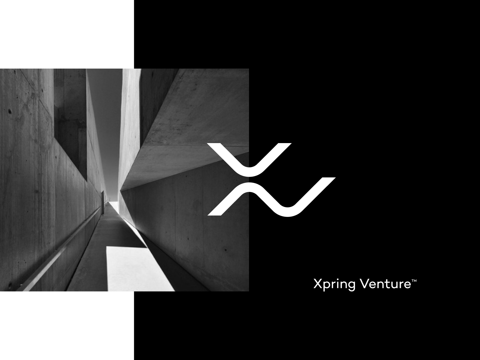 XV ui website app identity illustration logo branding icon.png