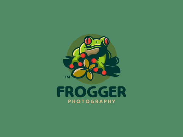 Frogger colorful branch flower green frog lizard illustration branding.png