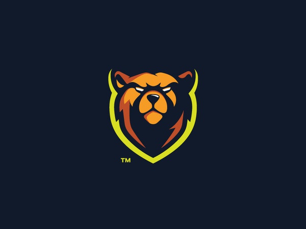 Kodiak strong powerful mark logotype logo illustration grizzly design.jpg