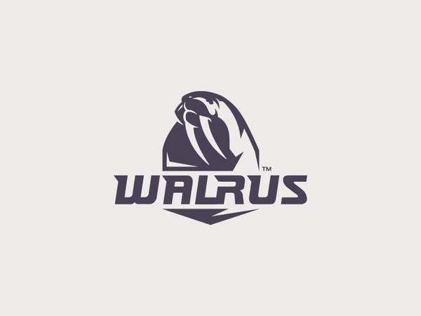 Walrus mammal minimal tusk sea walrus animal illustration branding mar.jpg