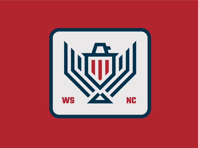 Eagle Patch badge patch identity branding brand identity eagle icon ma.png