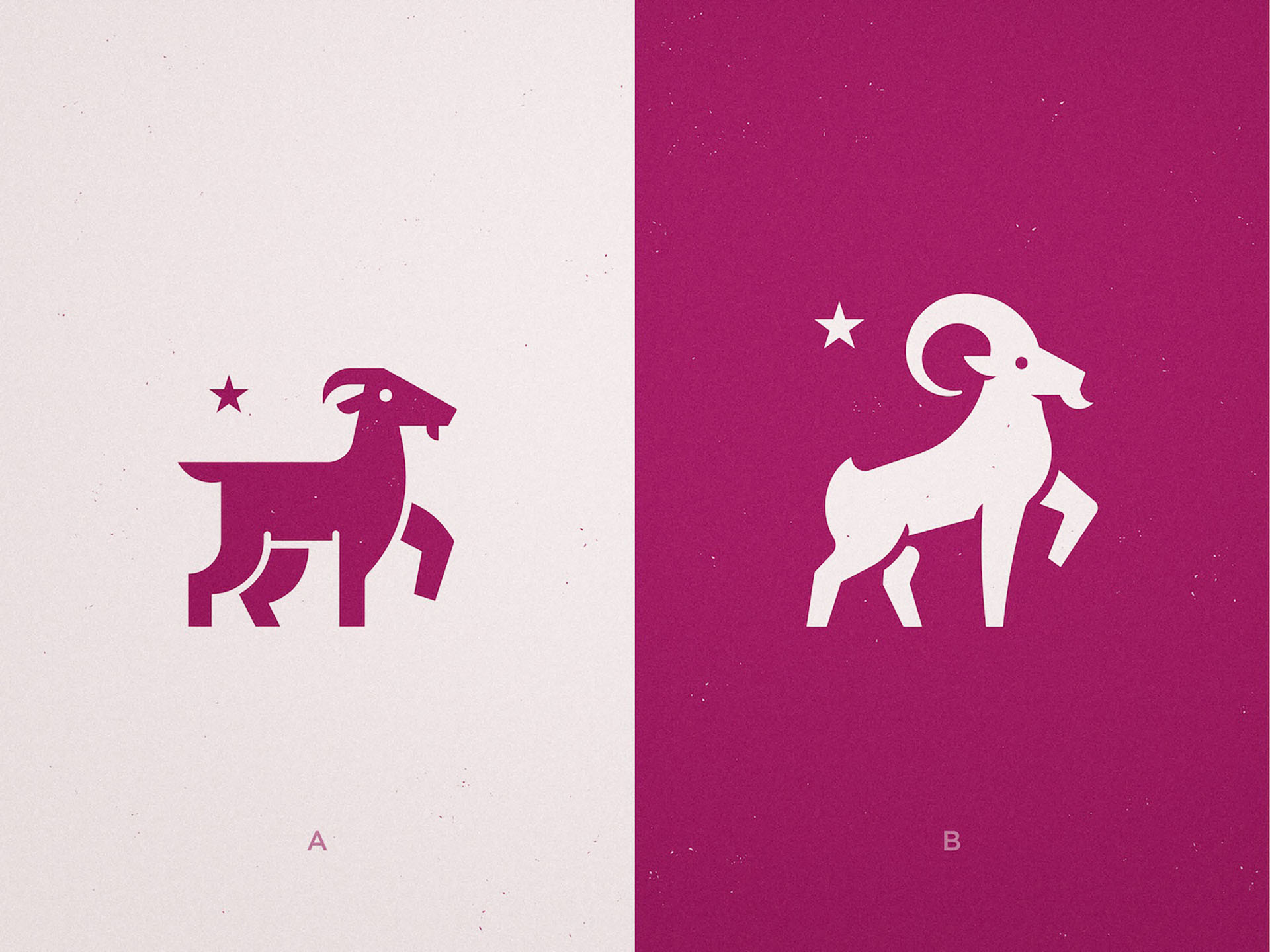 Avanti - Logo Concepts  ibex buck antler ram animal mascot stars star.jpg