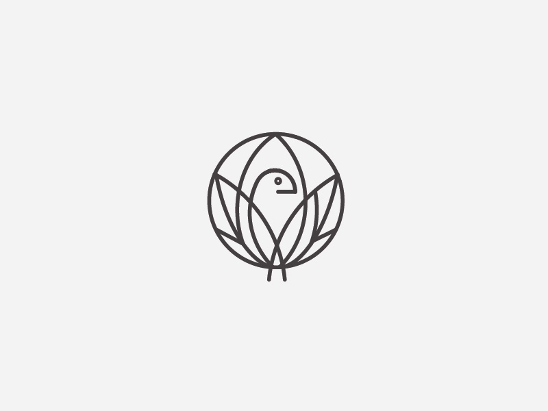 Logo Bird Leaf Feather Flower Line IN PROGRESS feather line flowers. b.jpg