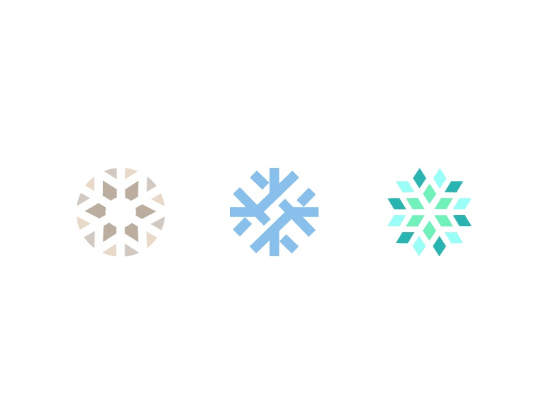 Logo Snowflake exploration A design snowflake logo.jpg