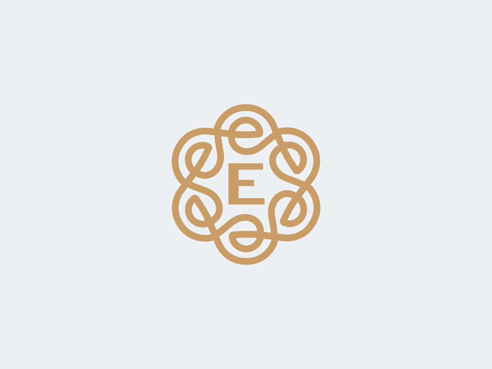 Ornament letter e e logo e letters line fun gradient brand logotype de.webp