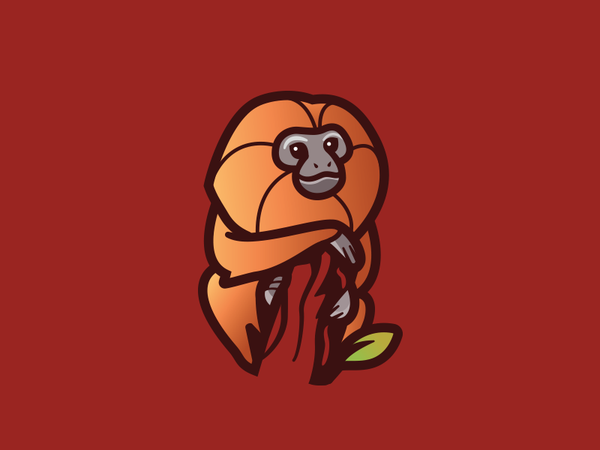 Golden Lion Tamarin beautiful golden lion tamarin identity branding lo.png
