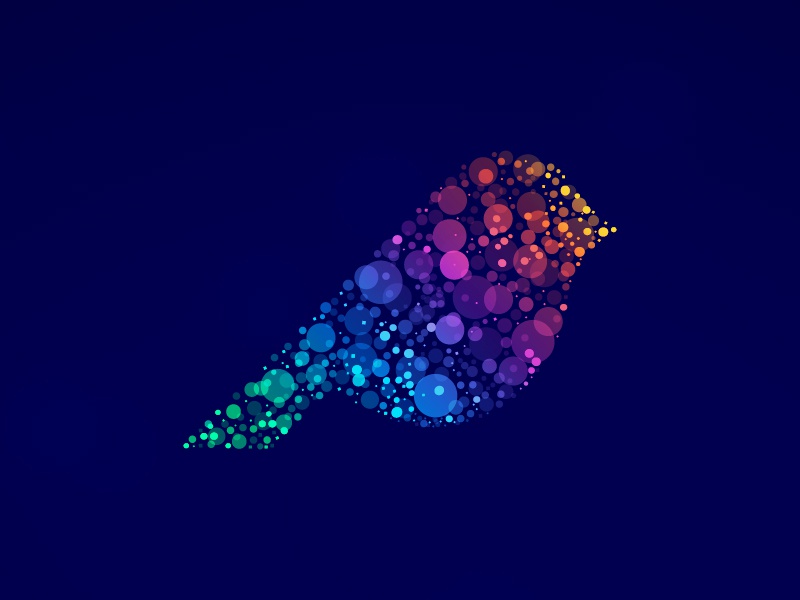 Bokeh Bird Experiment graphicdesigner app business logodesigner brand.jpg
