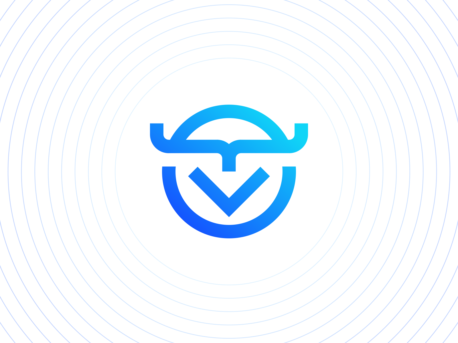 Dev Wisely circle construction application programming code owl logo s.png