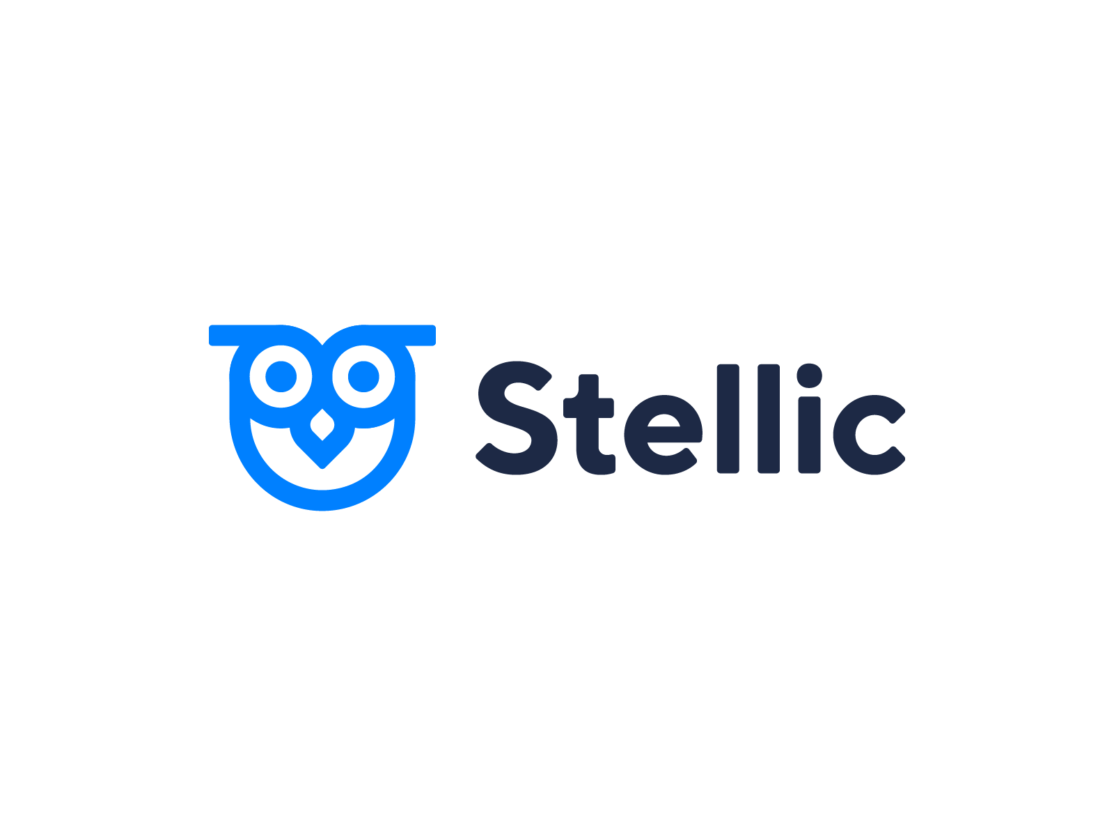 Stellic learning knowledge startup education bird owl identity brand s.png