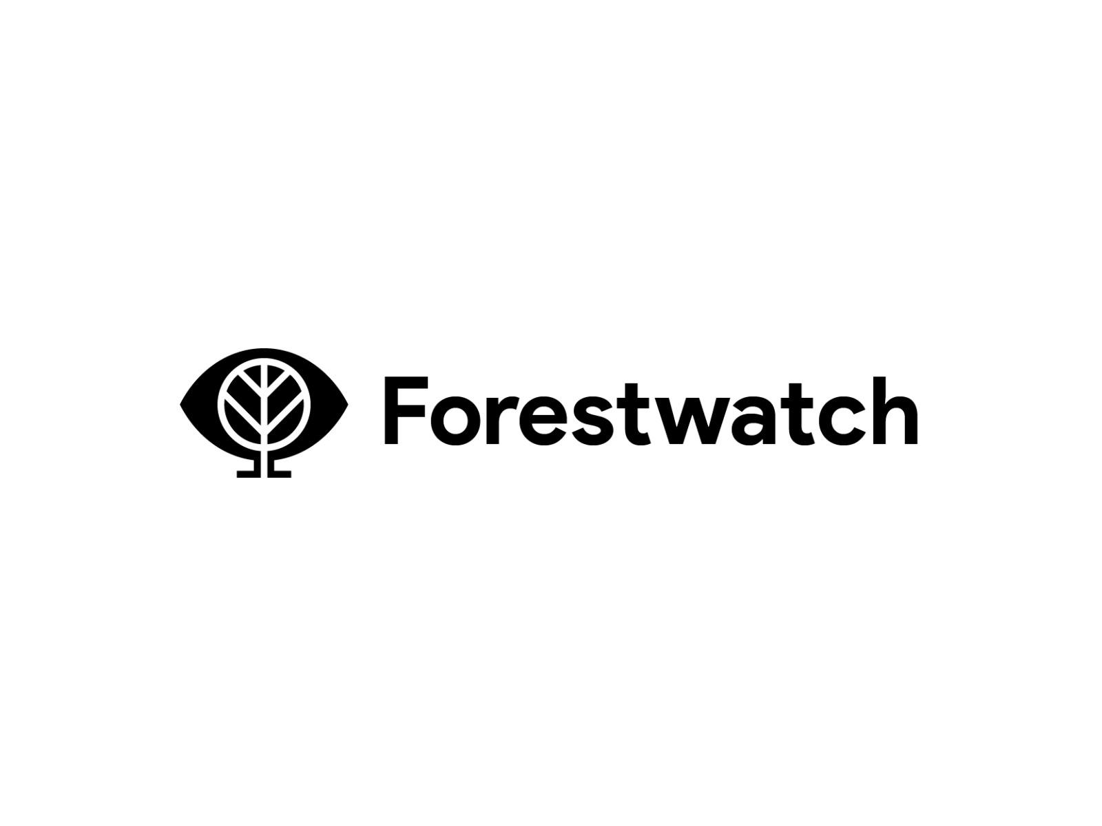 Forestwatch tree forest eye illustration mark branding logo.jpg