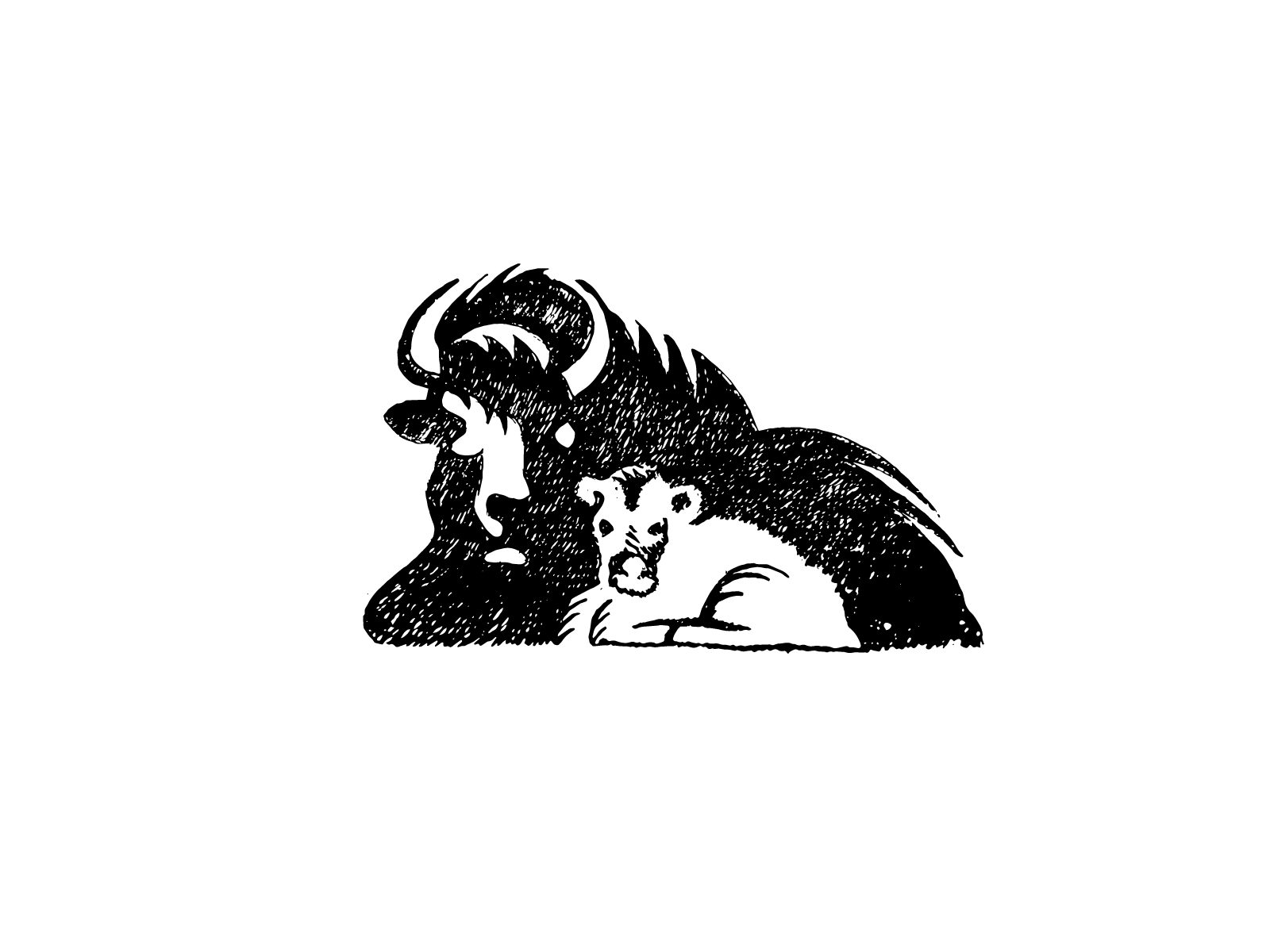 Bison hand texture nature brand illustration baby drawing logo sketch.png