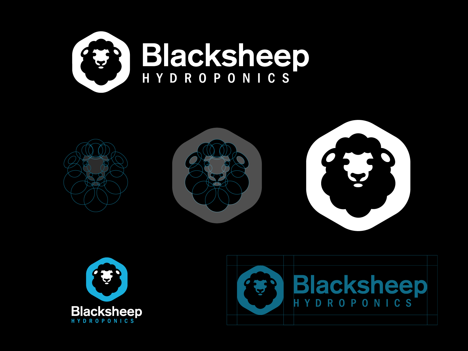 Blacksheep Hydroponics icon hydroponic plant nature logo brand animal.png