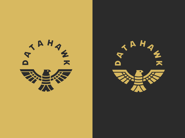 Datahawk wing space negative negativespace software technology animal.png