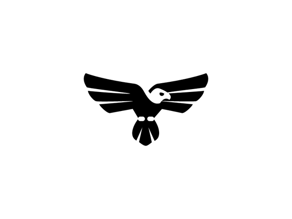 Eagle hawk space negative symbol flight sky wing logo bird eagle.png