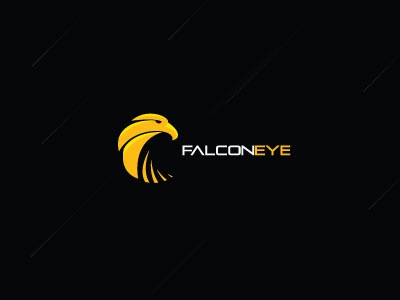 Falcon Eye falcon bird eye technology yellow sharp speed tribal logo l.jpg