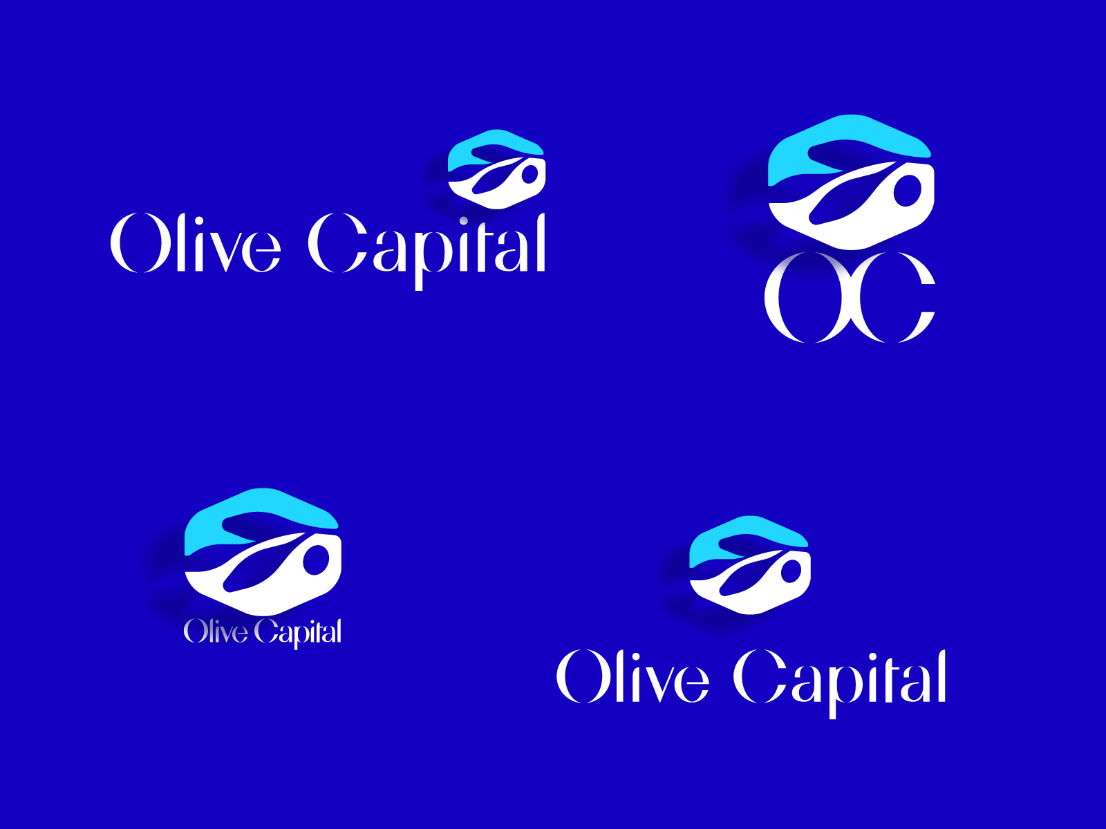 Olive Capital branch symbol hexagon nature plant monogram oc business.png