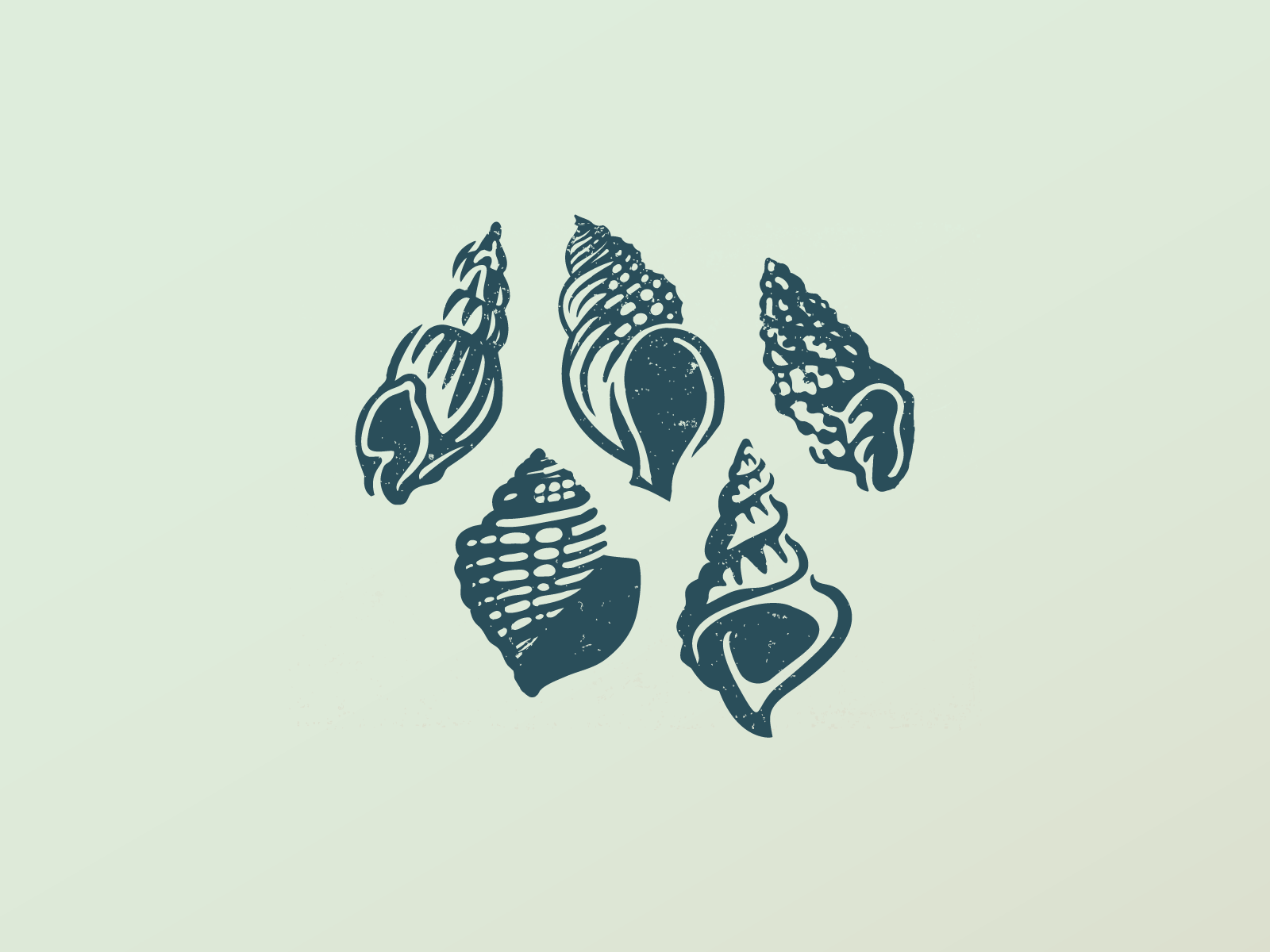 Shells branding icon logo drawing nature sea shell.png