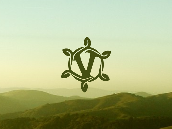 V nature leaf spiral logo v letter simple sun grass tree life.png