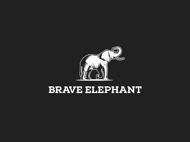 Brave Elephant branding brave bold animal elephant brand barista class.png