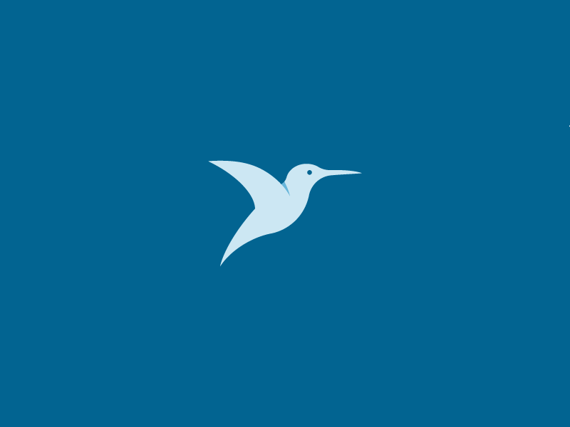 Hummingbird  modern shadow simple bird hummingbird.png