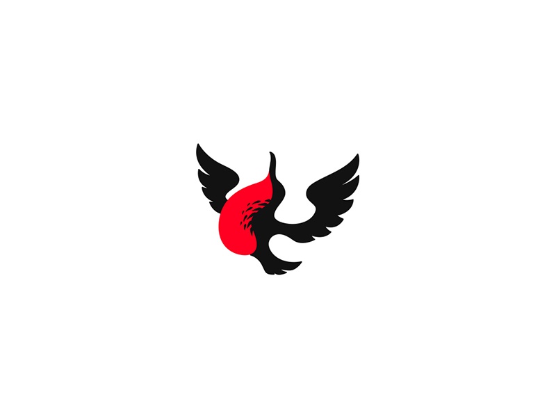 Frigatebird Logo Endangered Species Project nature bird water species.jpg