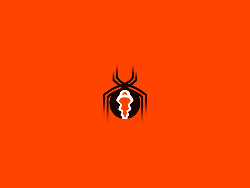 Katipo Spider - Endangered Species Project nature spider katipo specie.jpg