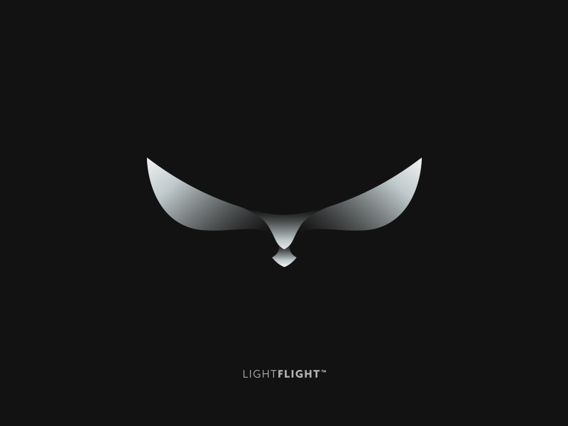 Light Flight cajva branding emblem mark logo flight light.jpg