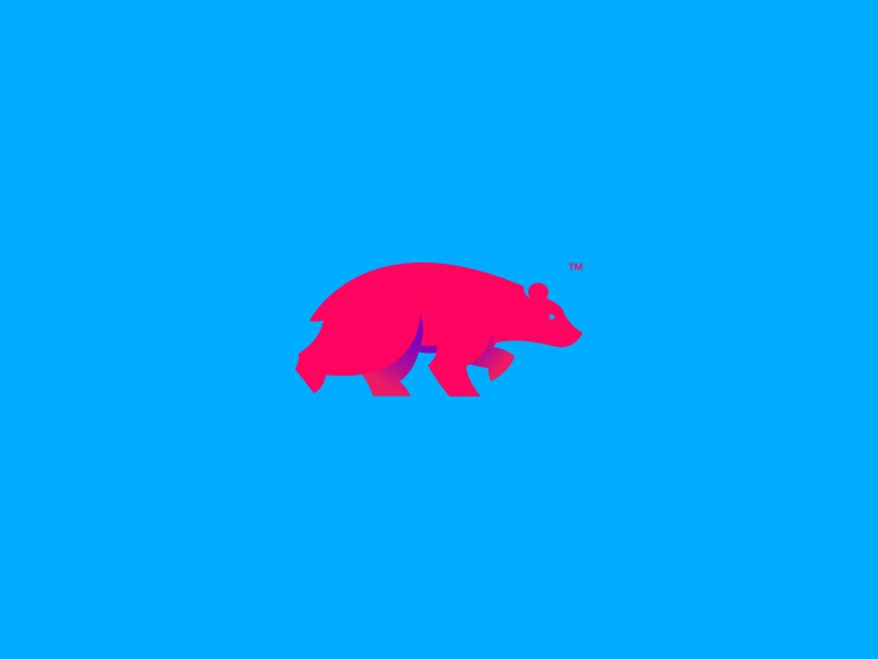 WildLife Bear Brand Identity design logo cajva identity brand nature b.jpg
