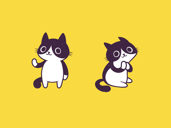 Pied Cat sticker funny illustration mascot design characterd cute cat.png