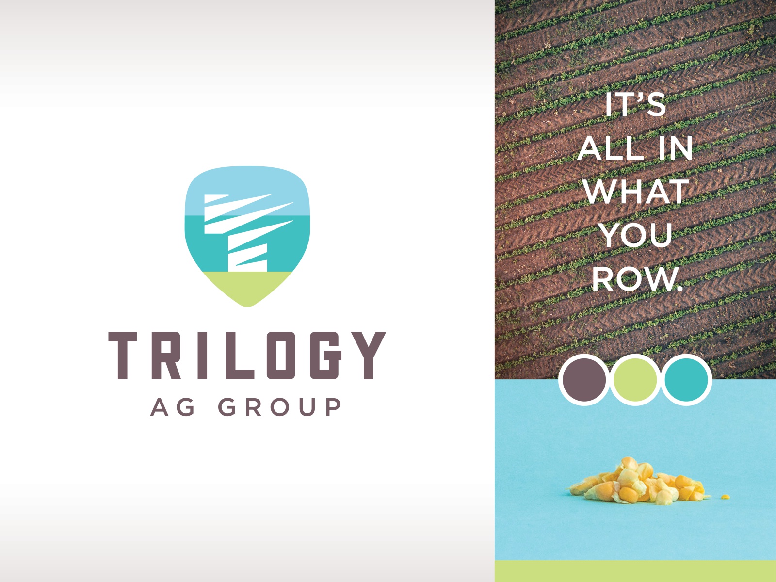 Trilogy Ag Group shield branding farming crops agriculture trilogy loc.jpg