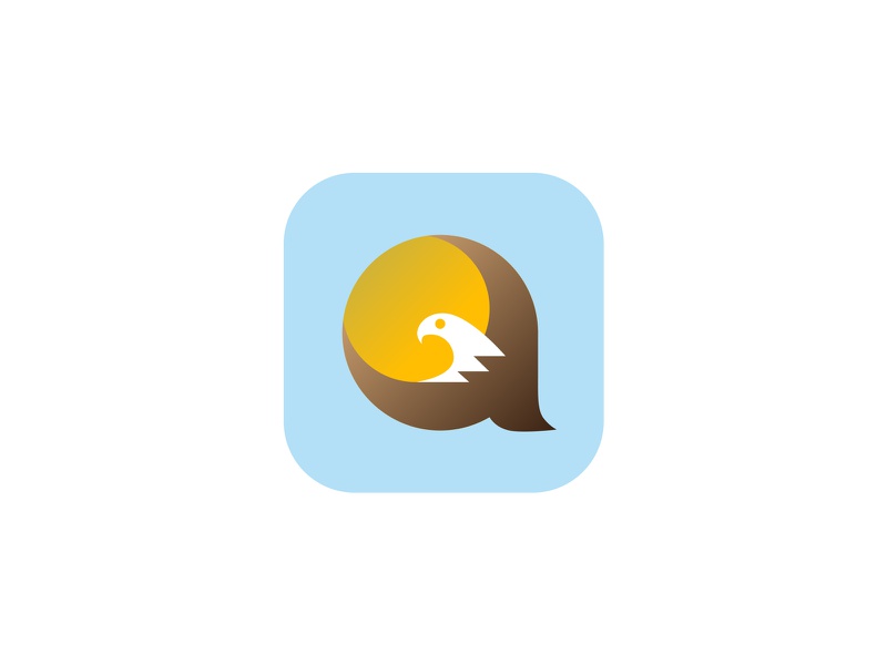 Bald Eagle a app icon bird icon bird branding idenity symbol logo icon.jpg