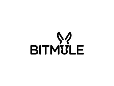BITMULE donkey animal mule bit hosting web hidden space negative posit.jpg