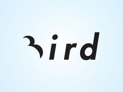 Bird silhouette concealed flying fly space negative and positive b sky.jpg