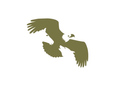 Eagle Mountain Capital Peter Vasvari eagle horse wolf animal black zoo.jpg