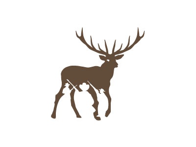 Hunterrace Peter Vasvari hunter terrace deer animal brown antler barre.jpg
