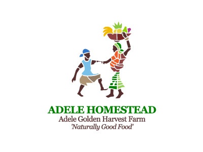 Peter Vasvari Adele Homestead logo africa subsistence farm ghana orpha.jpg