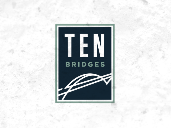 Real Estate logo ten bridge blue green logo box real estate abstract d.png