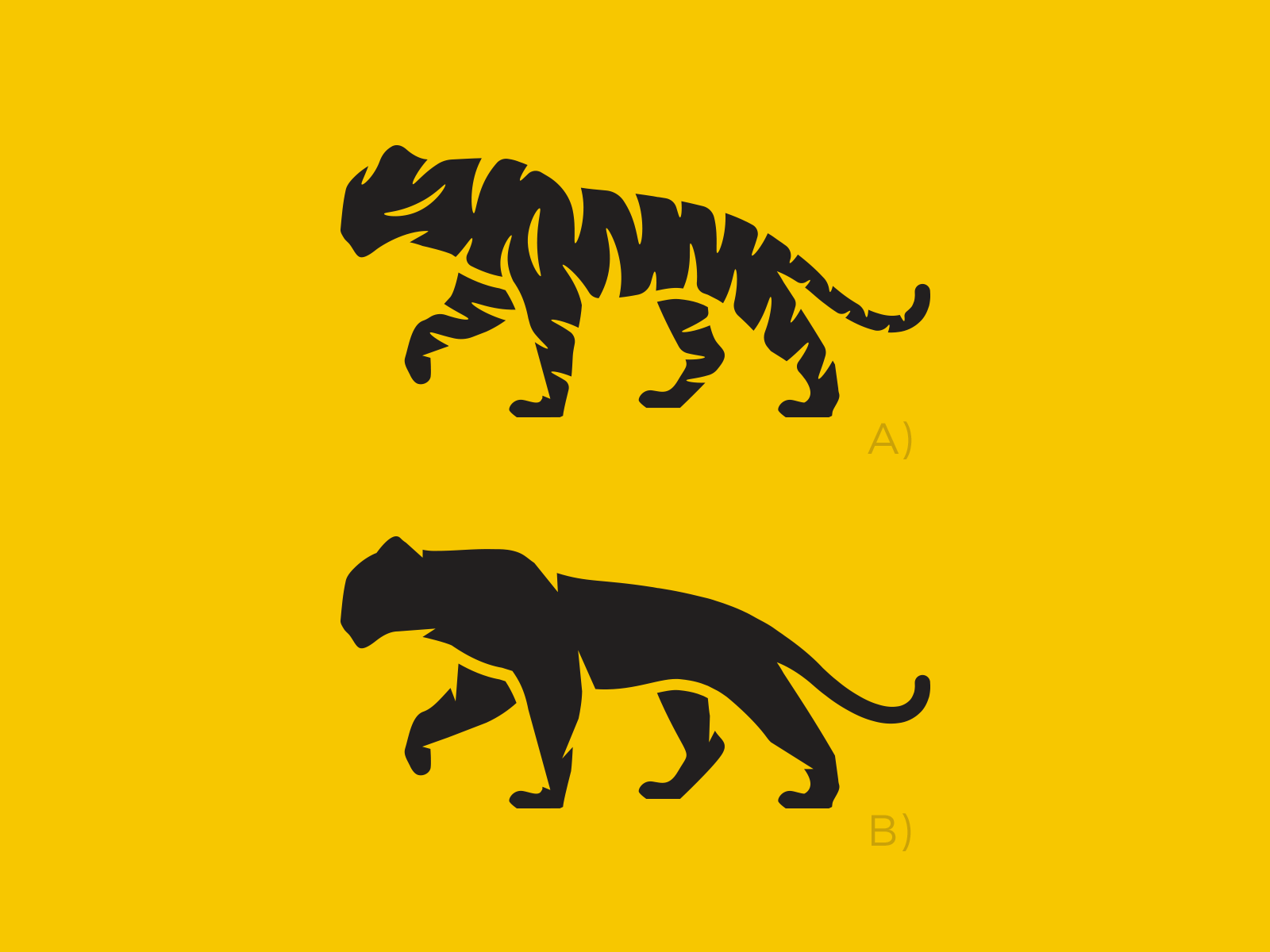 Tiger Logo tiger logo brand identity stripe hunt bold strong jungle st.png