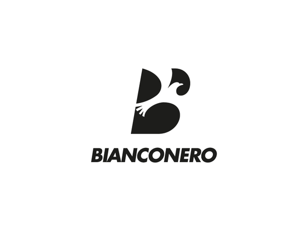 BIANCONERO Logo Design transportation circle logo letter b fly logo ea.png