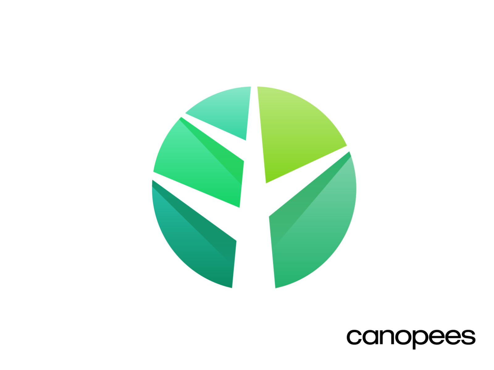 Canopees Logo Design Exploration 01 amazon sales customer minimal tech.png