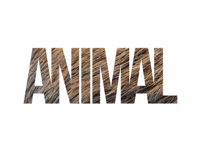 30 days with ANIMALS  All projects bird usarek africa wild animal anim.gif