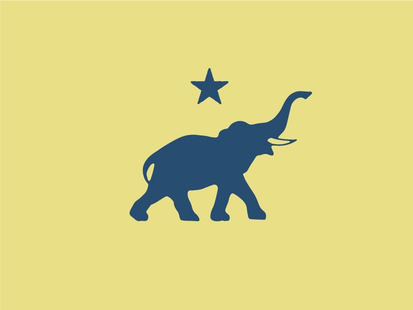 Elephant  dingus elephant.jpg