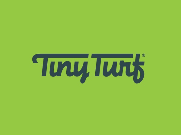 Custom Logotype branding identity vintage script logotype wordmark log.jpg