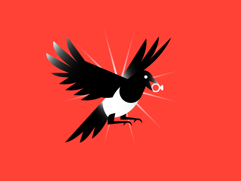 Magpie brilliant bird thief magpie.png