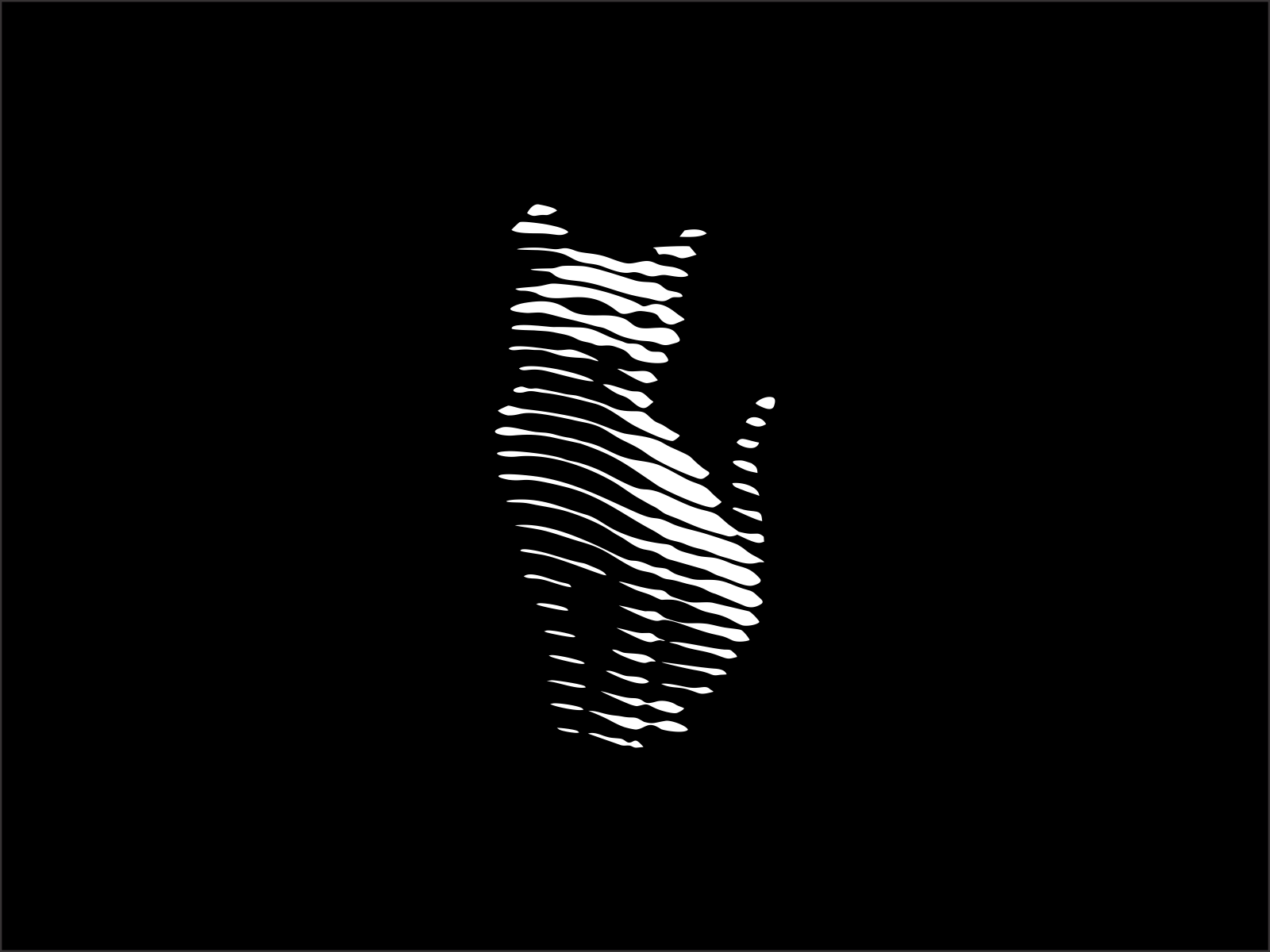 Cat Lines logomarks logos logo design illusion modernism icon vector m.png
