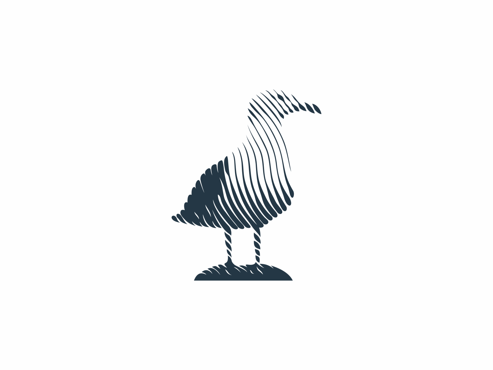 Seagull Lines logo design graphic design graphicdesign modernist moder.png