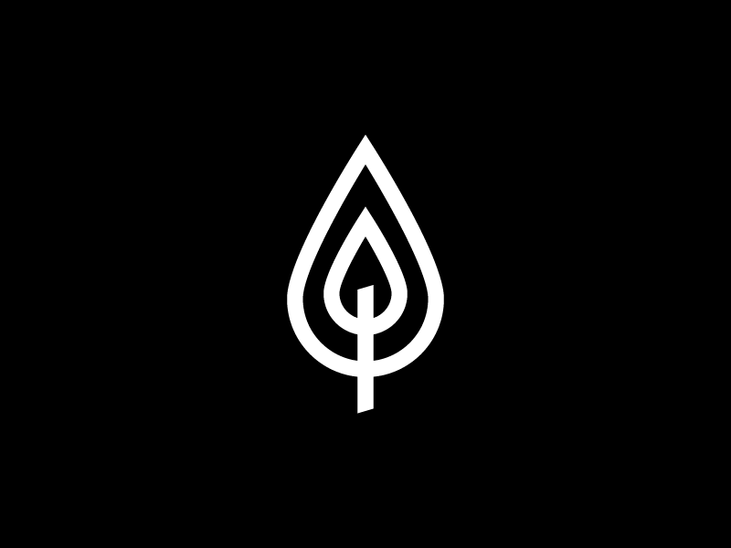 Flame logo studio mast travis ladue.png