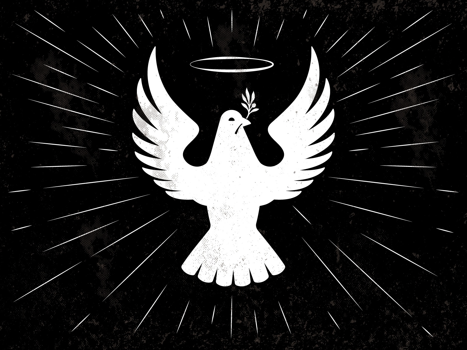 Dove bird wings light burst halo laurel grace dove.jpg