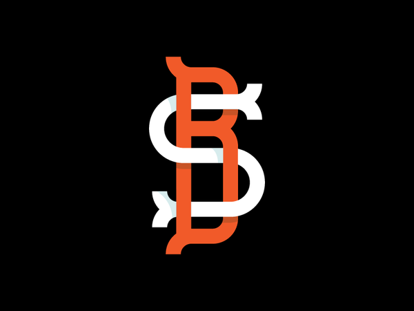 BS shading serifs branding identity logo ornamental monogram lettering.webp